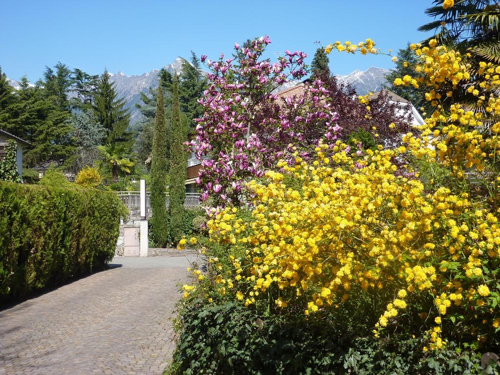 Zima 3* Meran